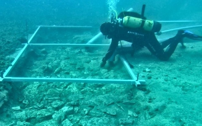 Con duong 7.000 nam tuoi duoi day bien Dia Trung Hai hinh anh