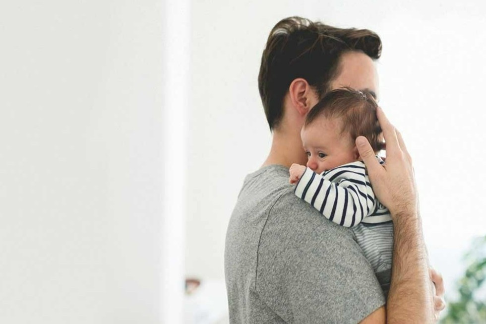 Khoang 10% ong bo dang bi anh huong boi chung tram cam sau sinh hinh anh