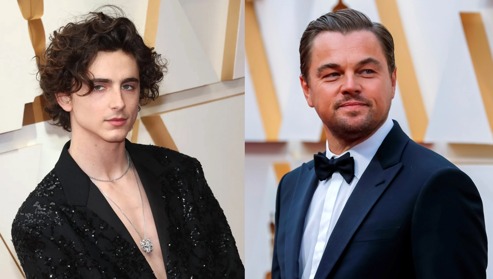 Leonardo DiCaprio khuyen Timothee Chalamet tranh xa ma tuy va Marvel hinh anh