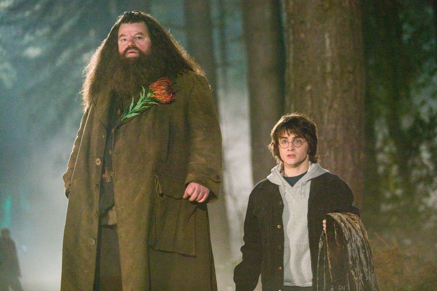 'Bac Hagrid' cua Harry Potter qua doi hinh anh