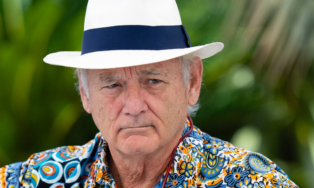 Danh hai Bill Murray bi vach tran hinh anh