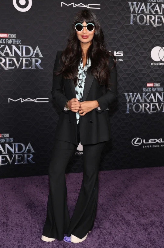 black panther anh 13