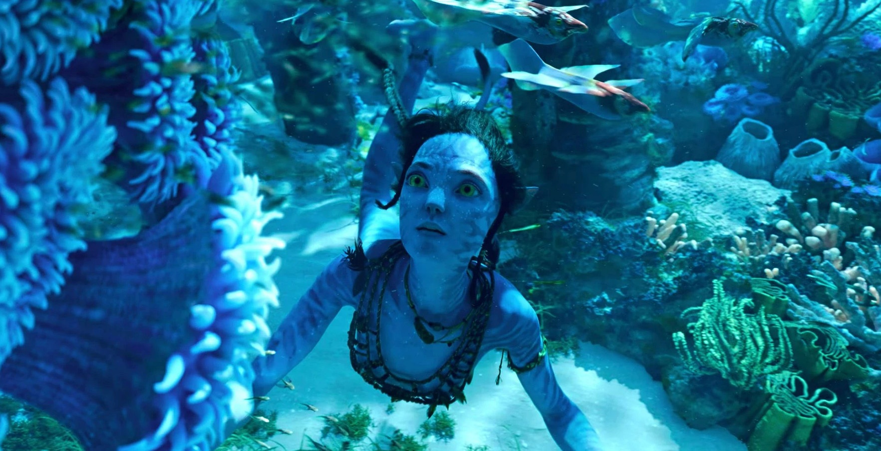 Dao dien 'Avatar' duoi co giam doc dieu hanh cua 20th Century Studios hinh anh