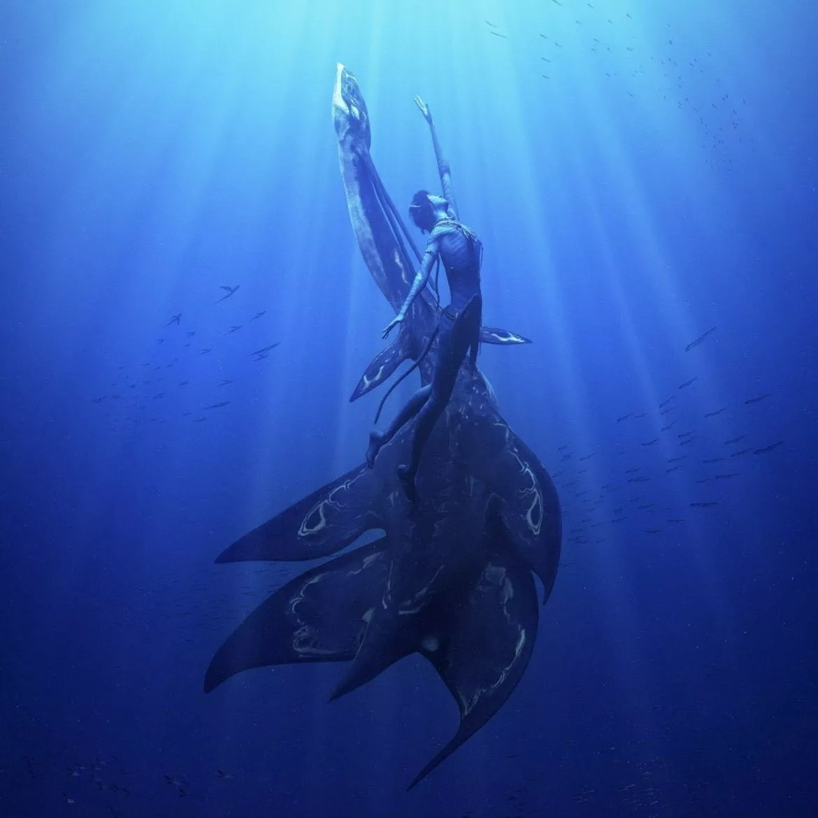 Avatar ảnh 3 Avatar anh 3