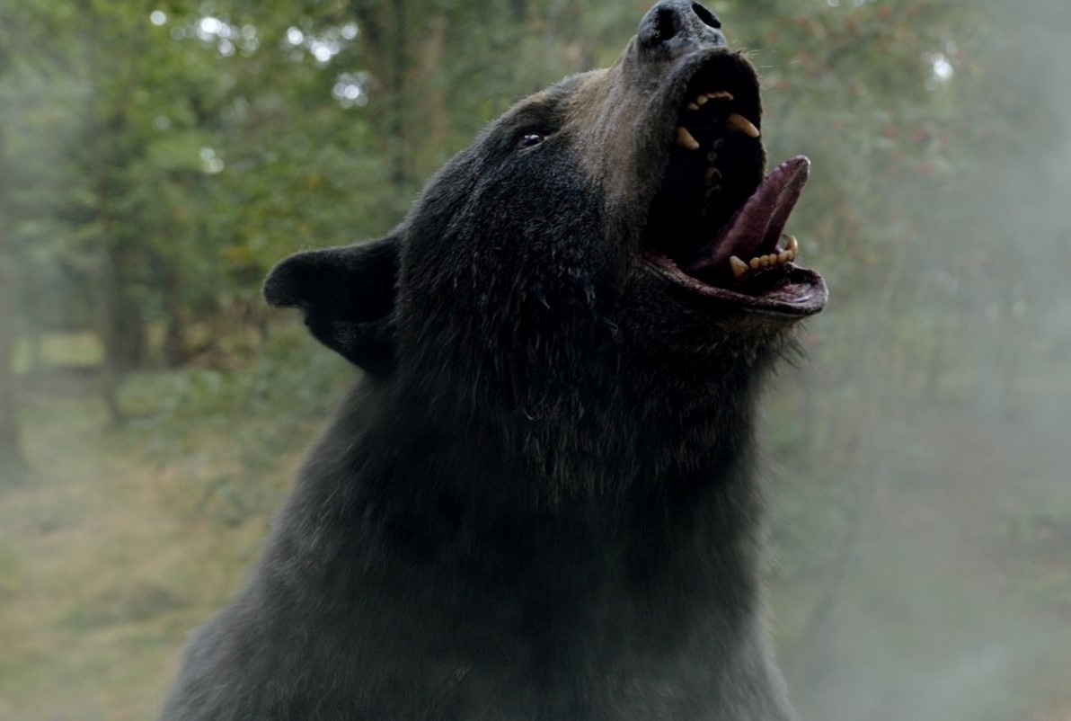 'Gau dien' ha guc Nguoi Kien hinh anh