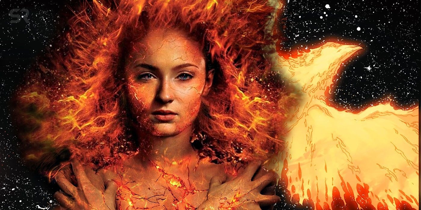 Ai du suc chong lai phuong hoang? hinh anh