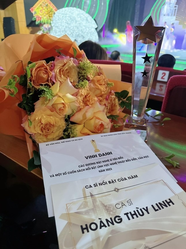 Hoang Thuy Linh anh 2