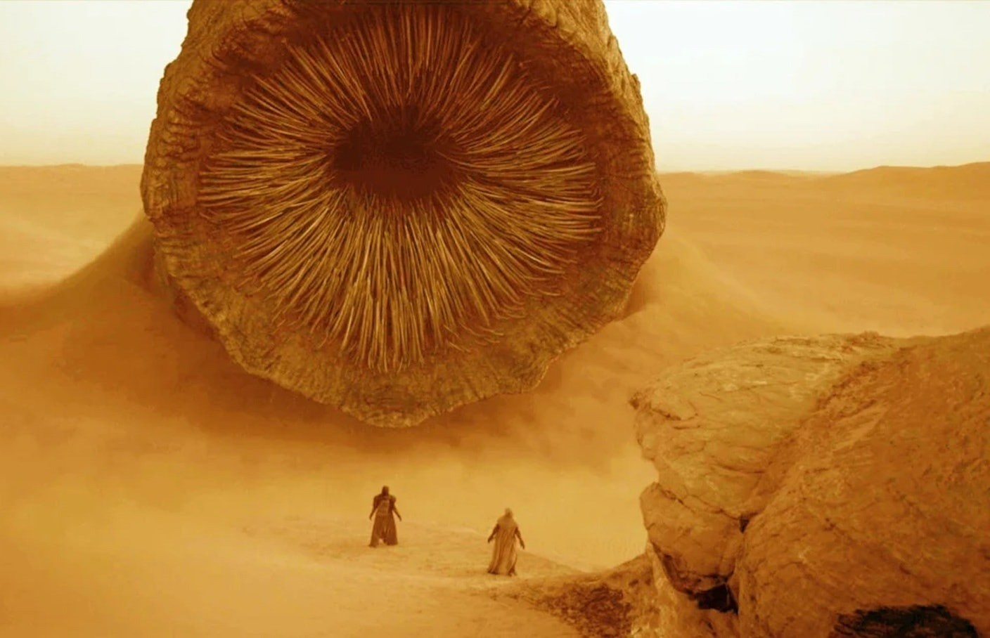 Dune ảnh 2 Dune anh 2