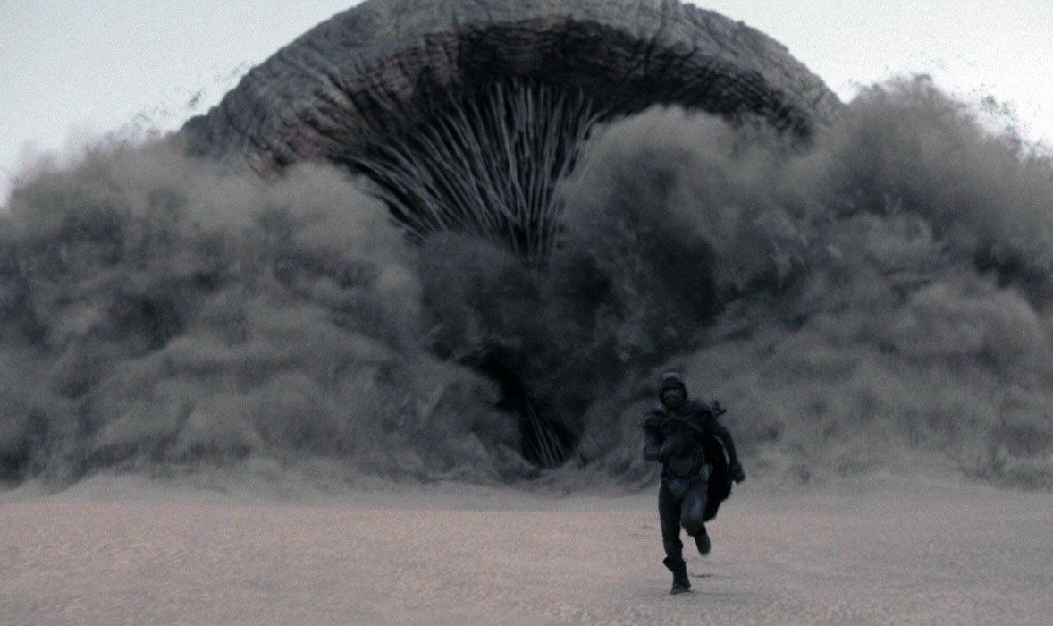 Dune ảnh 3 Dune anh 3