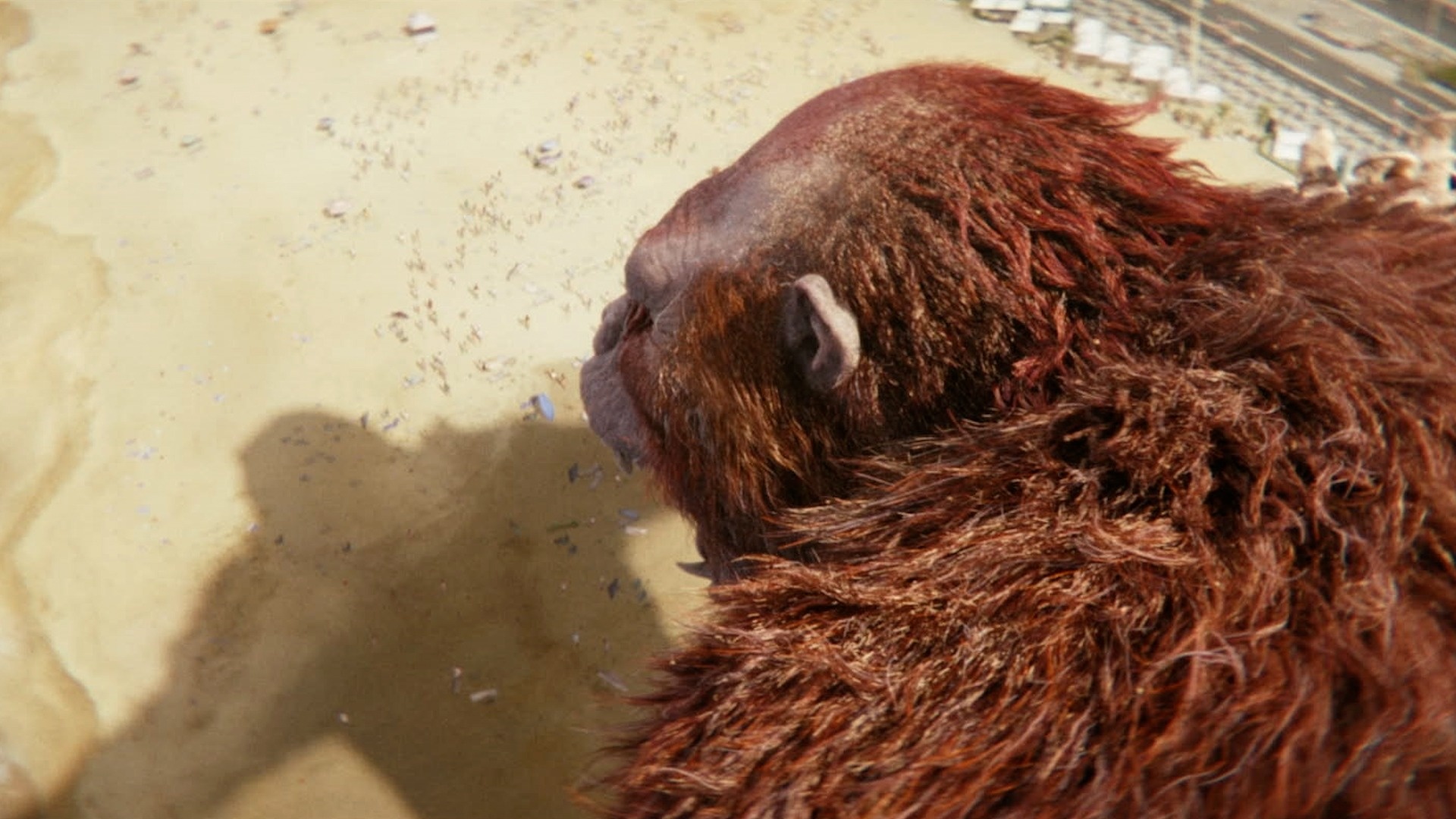 Kong,  Godzilla anh 4