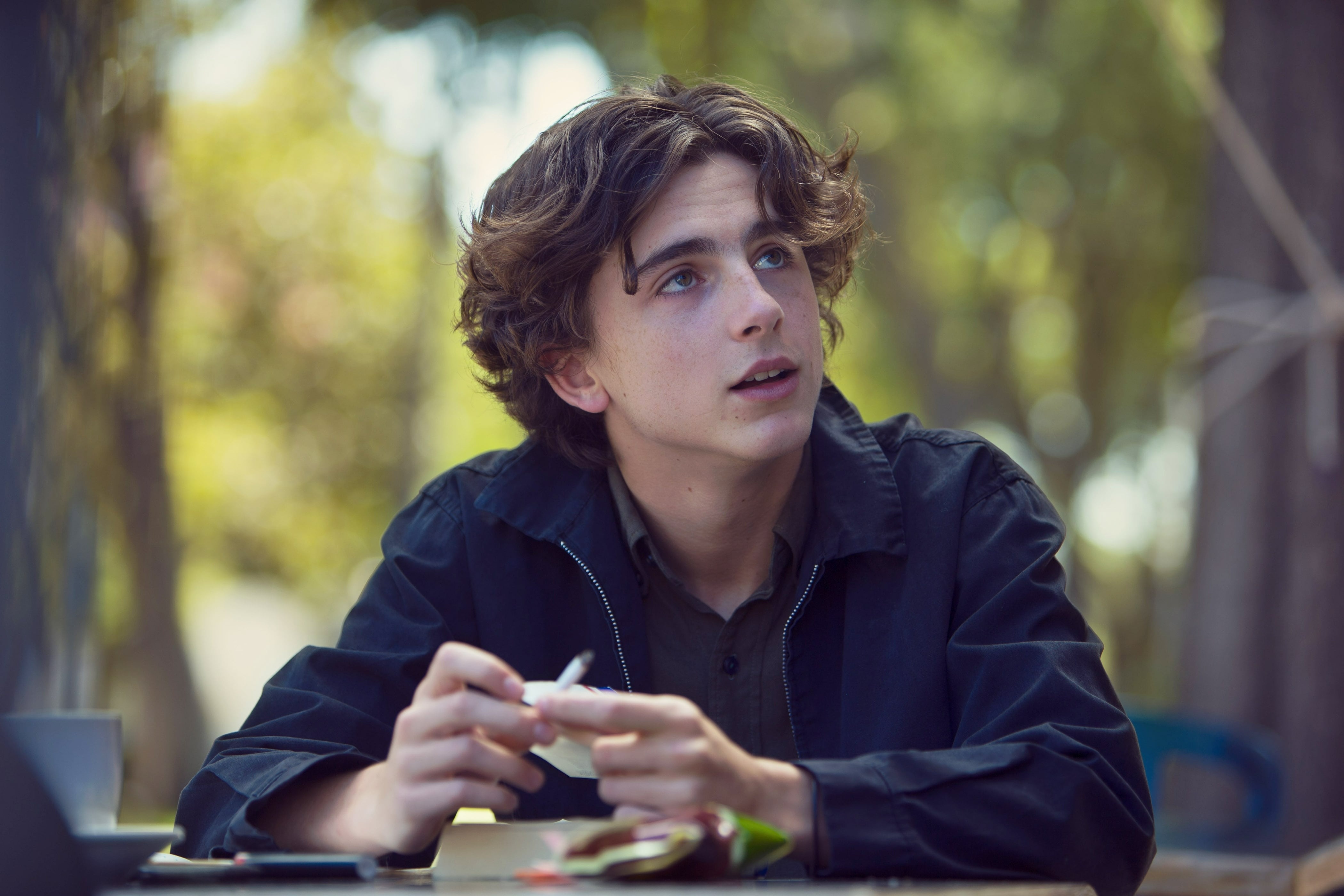 Timothee Chalamet anh 9