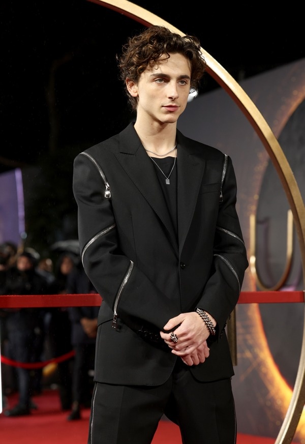 Timothee Chalamet anh 5