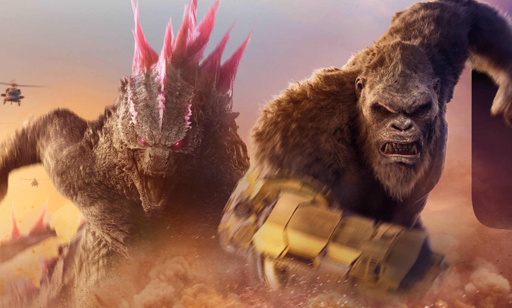 Tran thu hung man nhan cua cac ga khong lo hinh anh