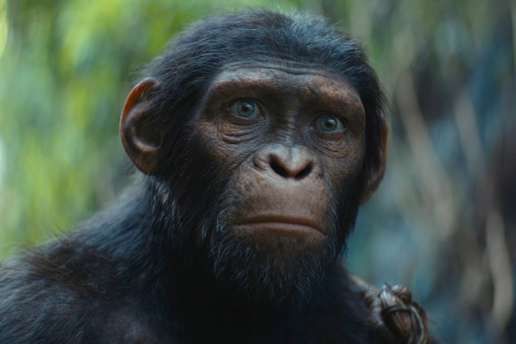 'Hanh tinh khi: Vuong quoc moi' - bo phim gay choang ngop ve hinh anh hinh anh