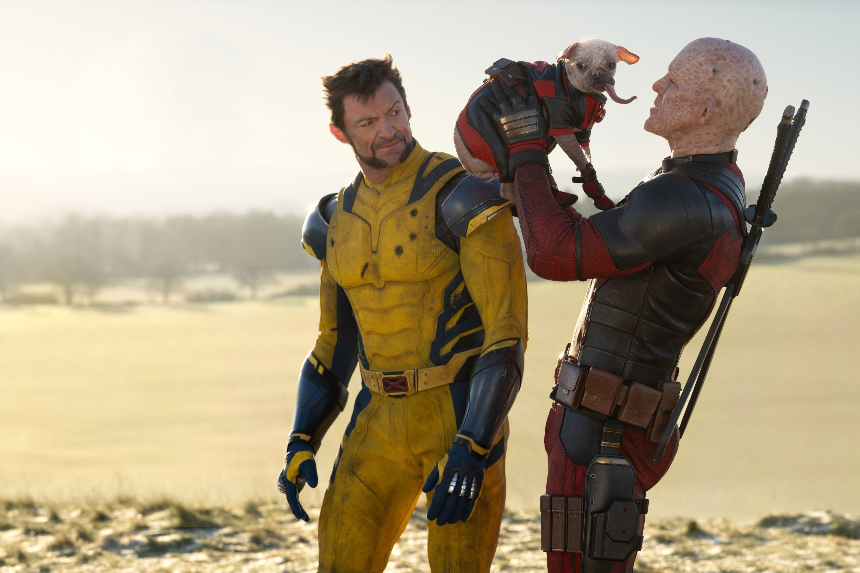 Dogpool,  Deadpool,  Deadpool & Wolverine anh 1