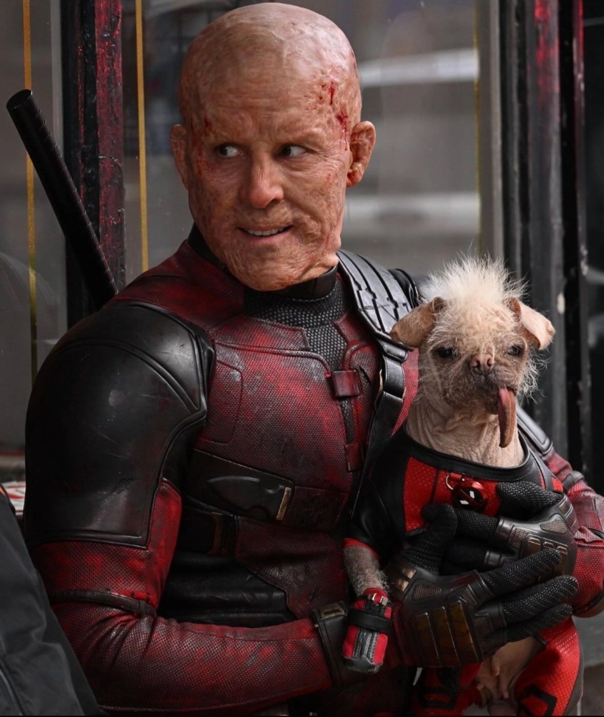 Dogpool,  Deadpool,  Deadpool & Wolverine anh 7