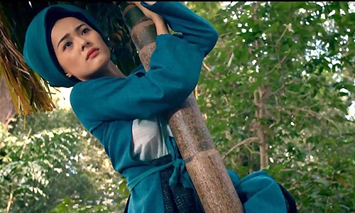 Thanh bai cua 'Tam Cam' hinh anh