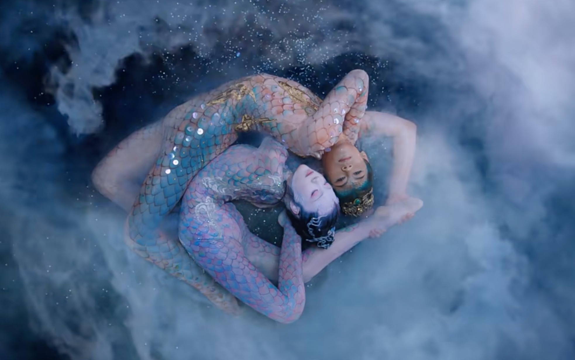 Dieu mua ran cua Duong Le Binh vap tranh luan hinh anh