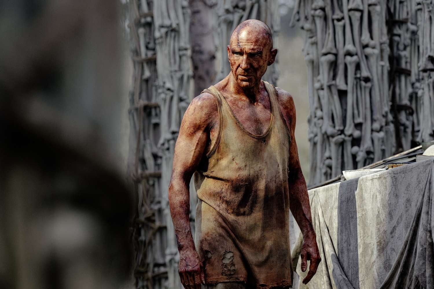 Dieu khien phim ve 28 nam sau tan the gay sot hinh anh