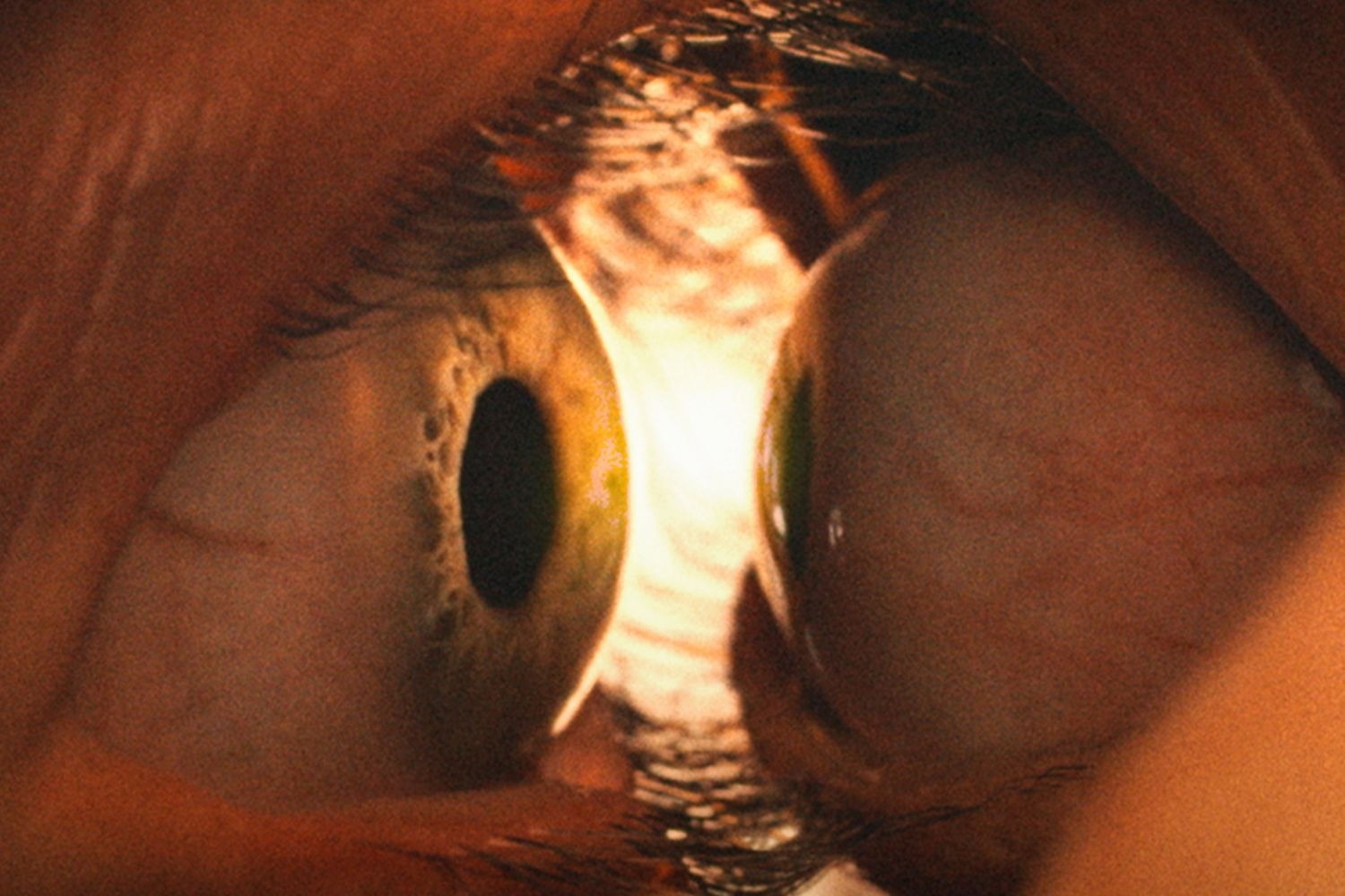 Together_movie_eyes.jpg