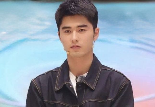 Dien vien Luu Dich Suong bi bat giam hinh anh