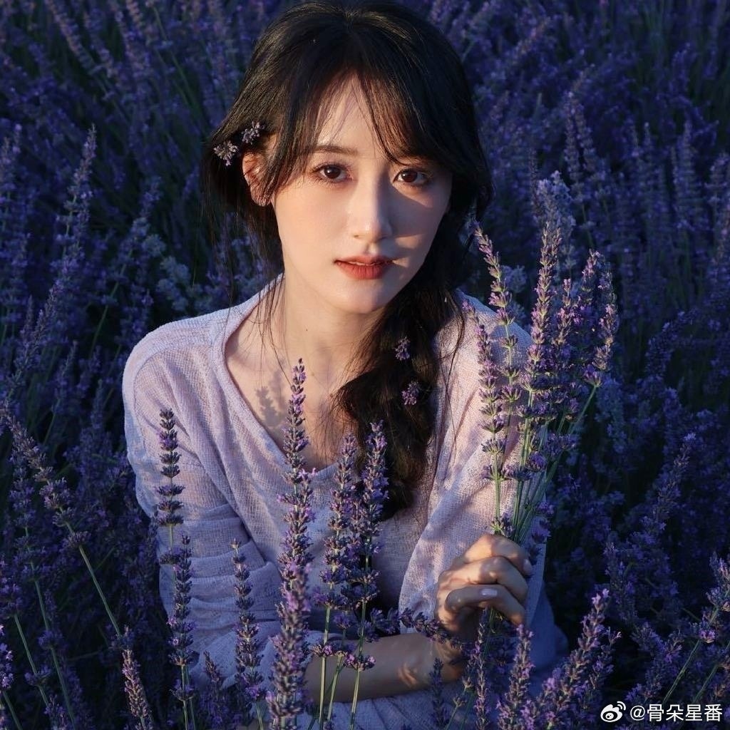 Vien Bang Nghien anh 1