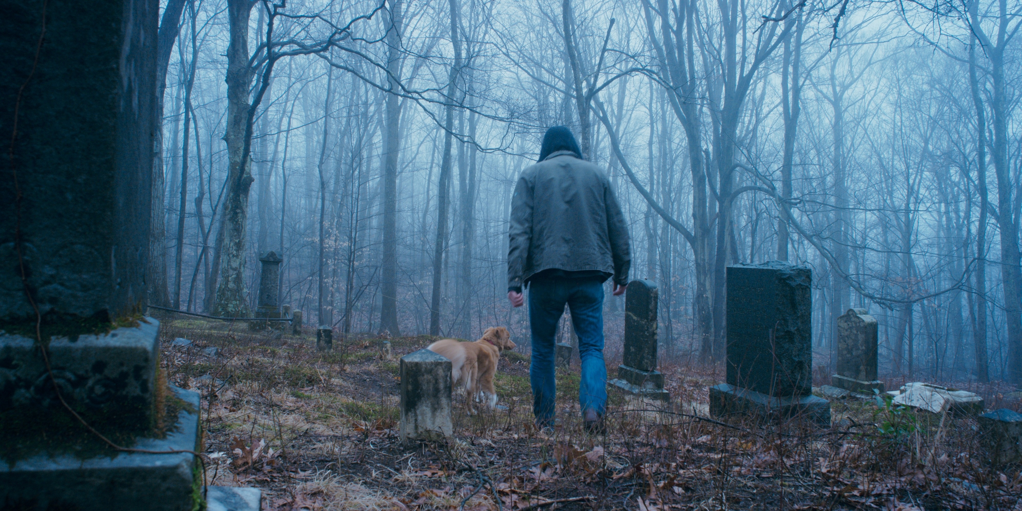GOOD_BOY_Still_5.jpg