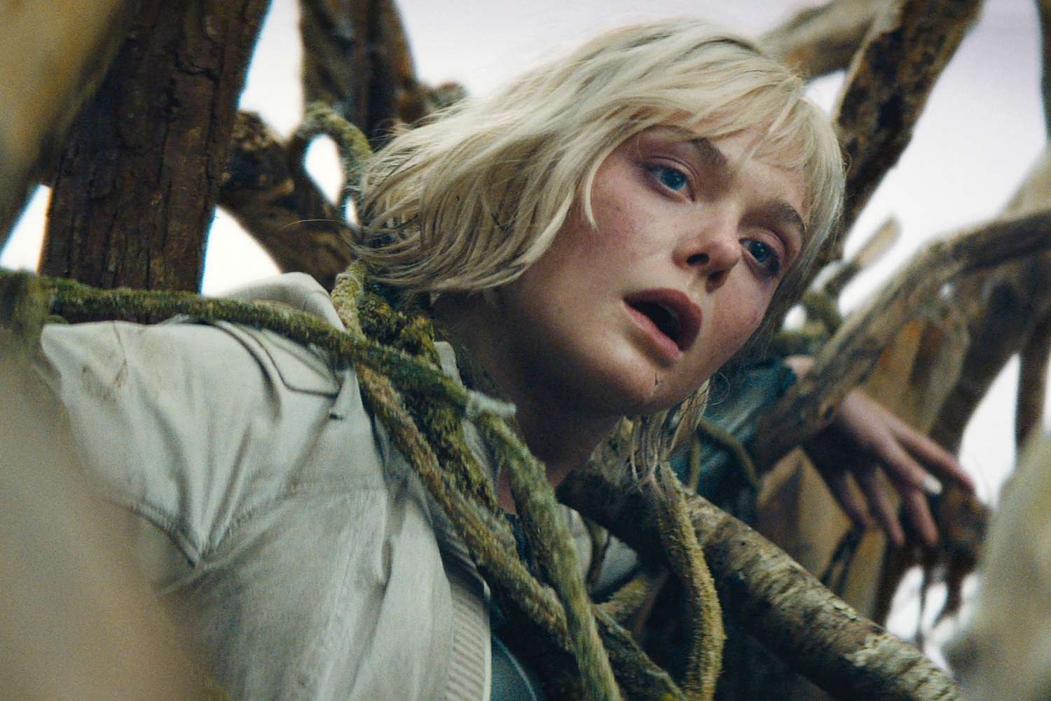 predator_badlands_Elle_Fanning_0.jpg