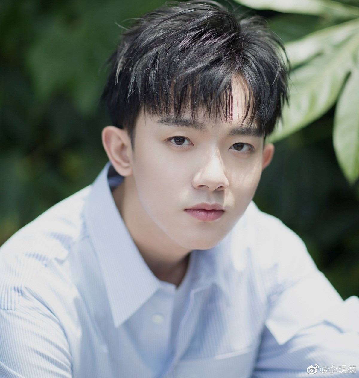 nghe si Hoa ngu anh 1