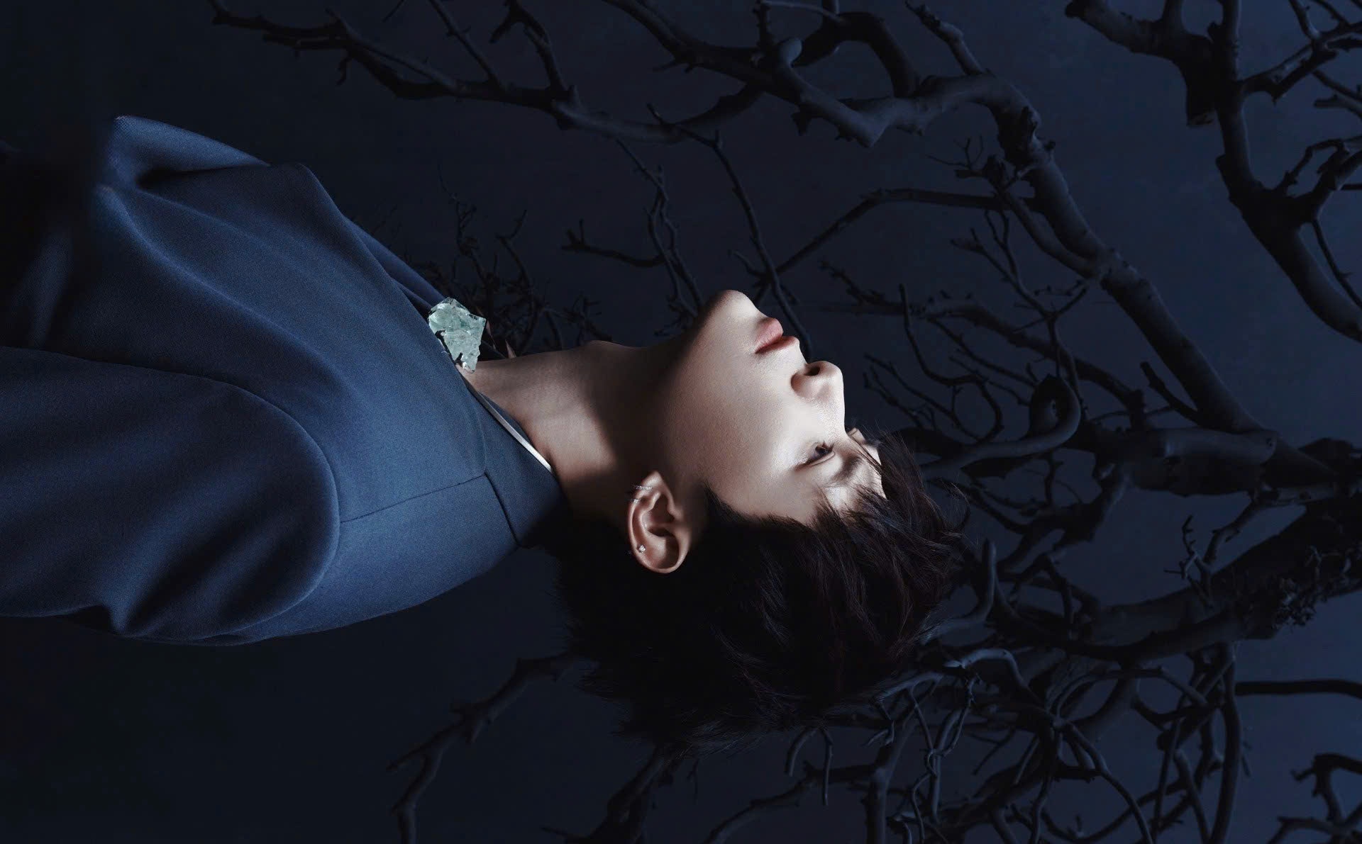 hoàng tử quỷ ảnh 1 hoang tu quy anh 1