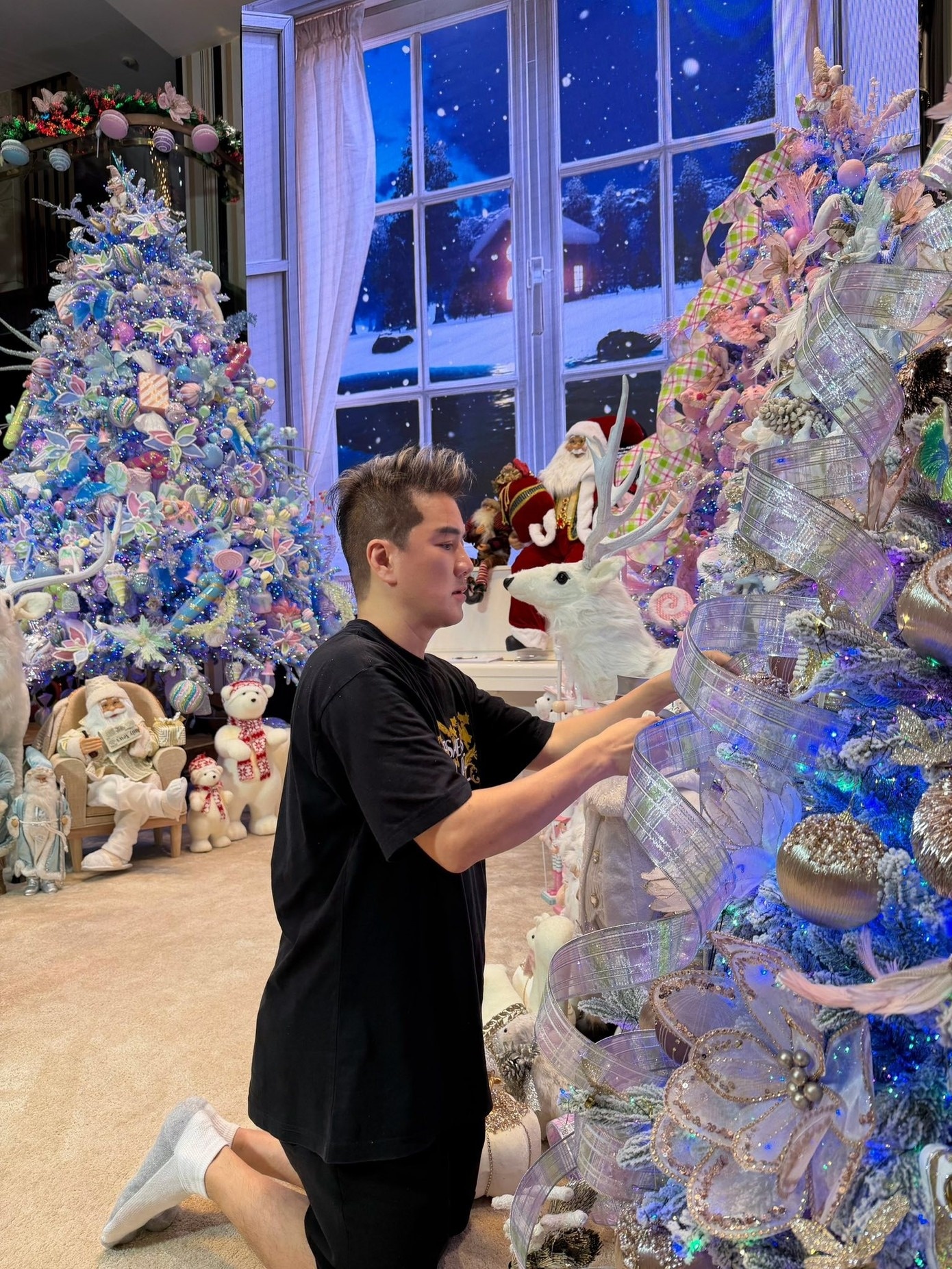 Đàm Vĩnh Hưng ảnh 2 Dam Vinh Hung anh 2