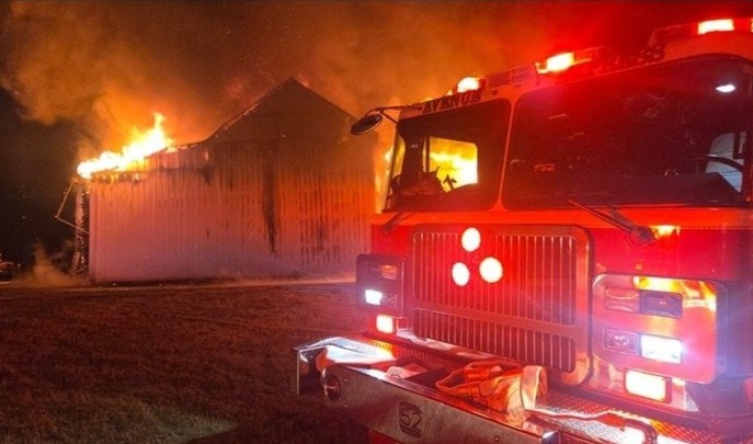 Bobby J. Brown anh 2