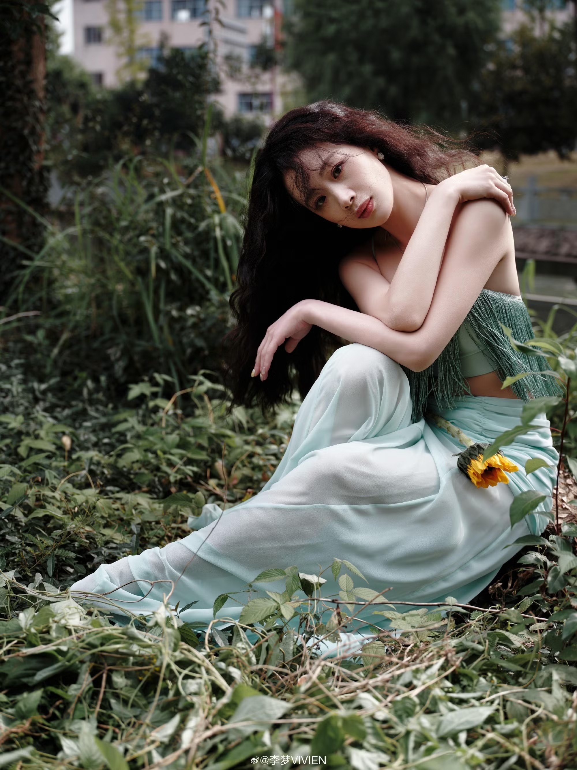 Ly Mong anh 11