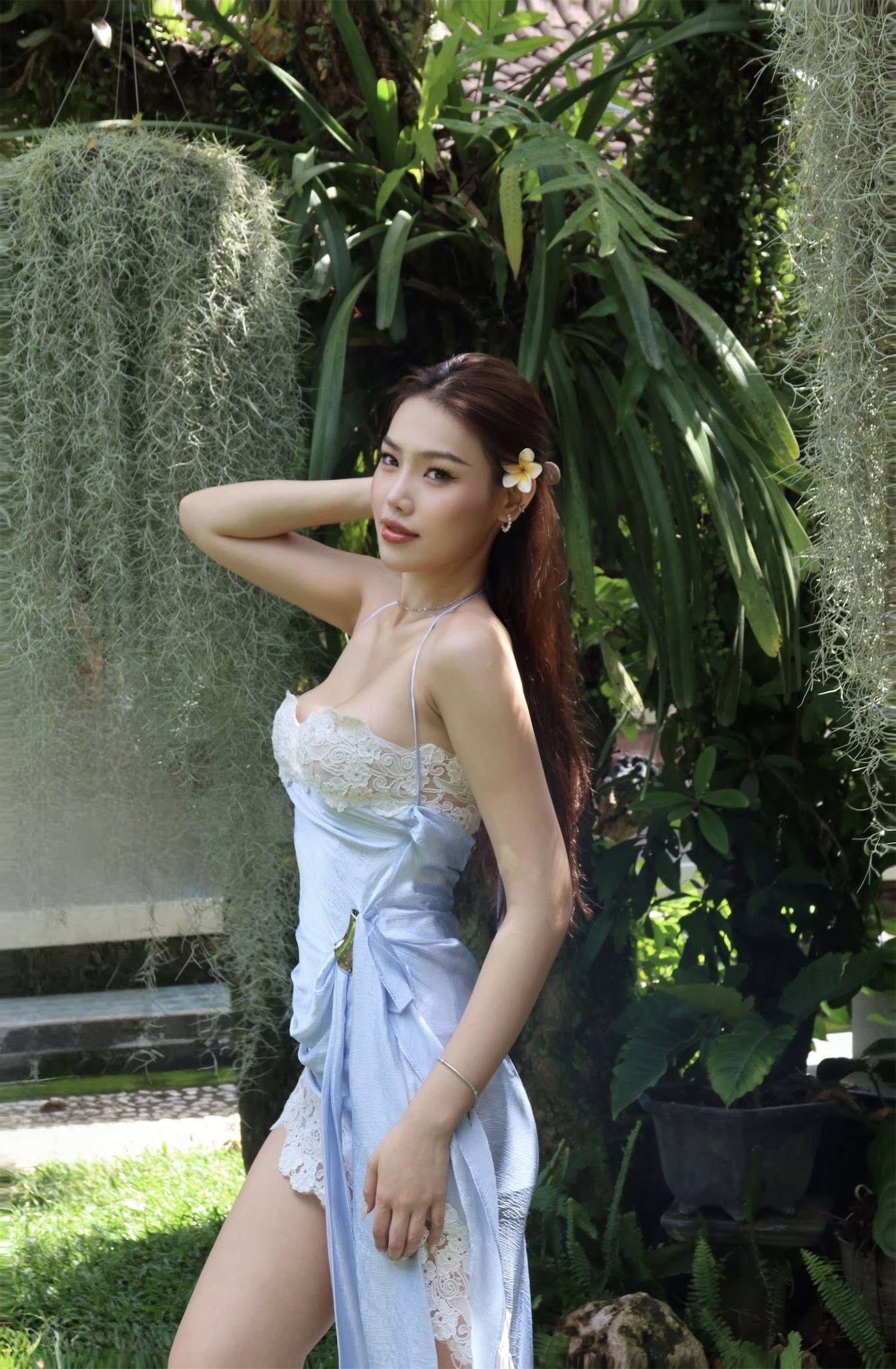 Cẩm Ly ảnh 6 Cam Ly anh 6