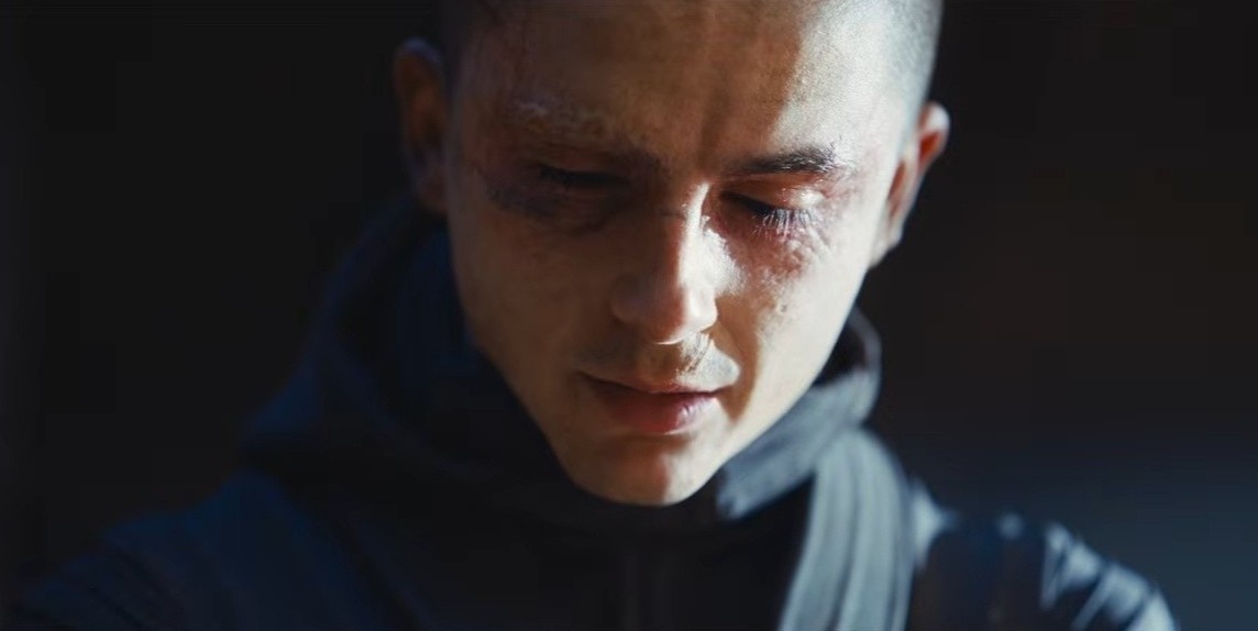 Timothee Chalamet anh 2
