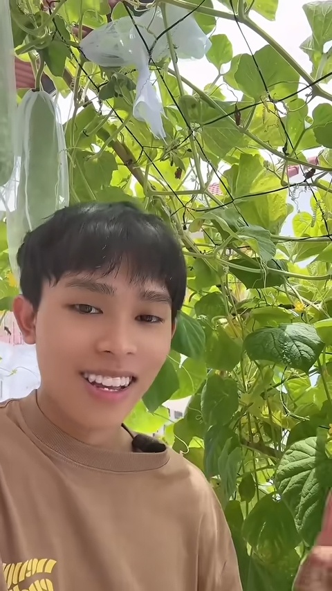 Hồ Văn Cường ảnh 2 Hồ Văn Cường ảnh 2