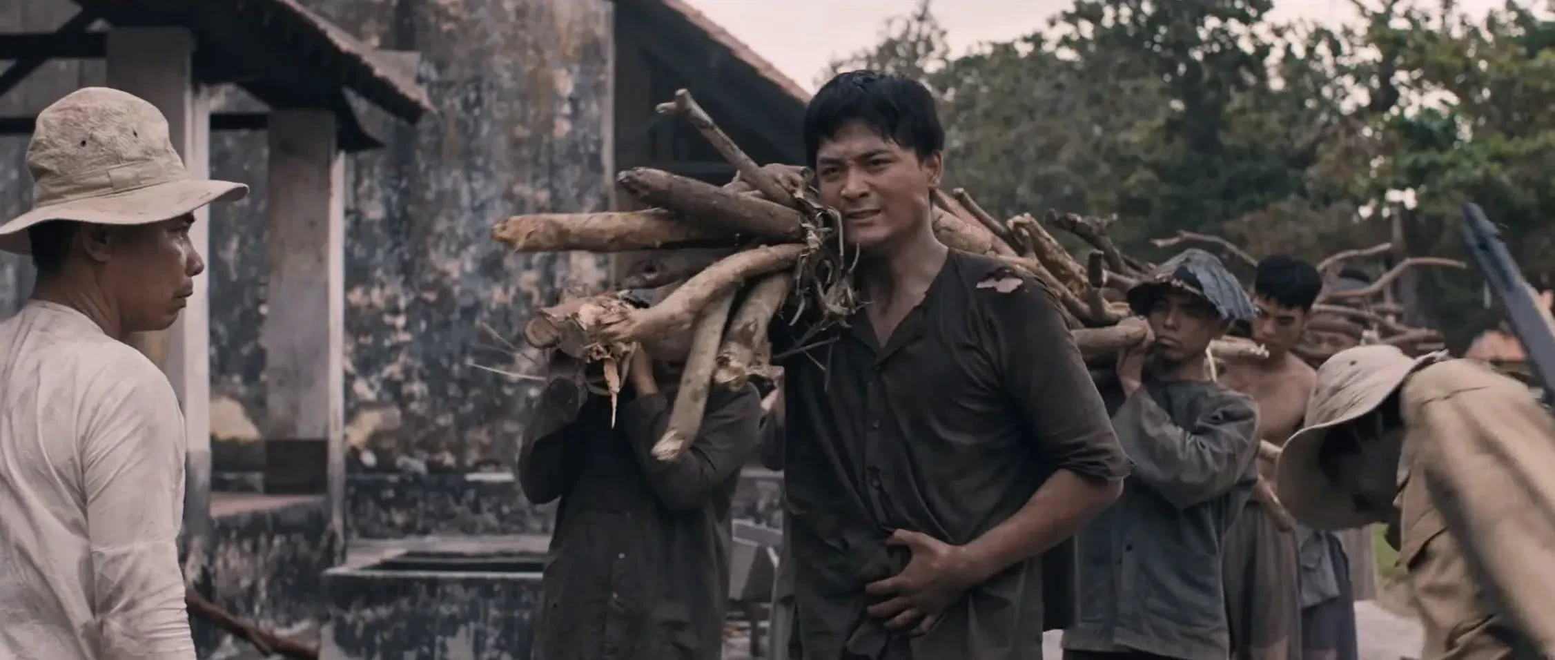 c&ocirc;n đảo ảnh 1
