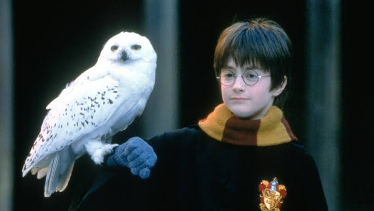 Harry Potter ảnh 2