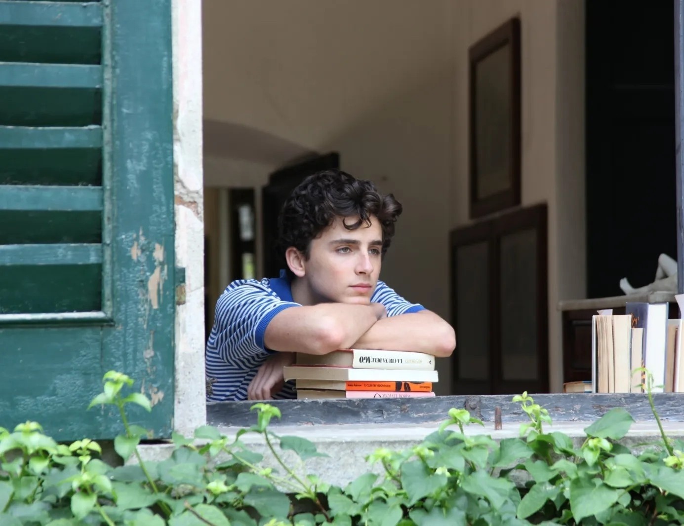 Timoth&eacute;e Chalamet ảnh 1