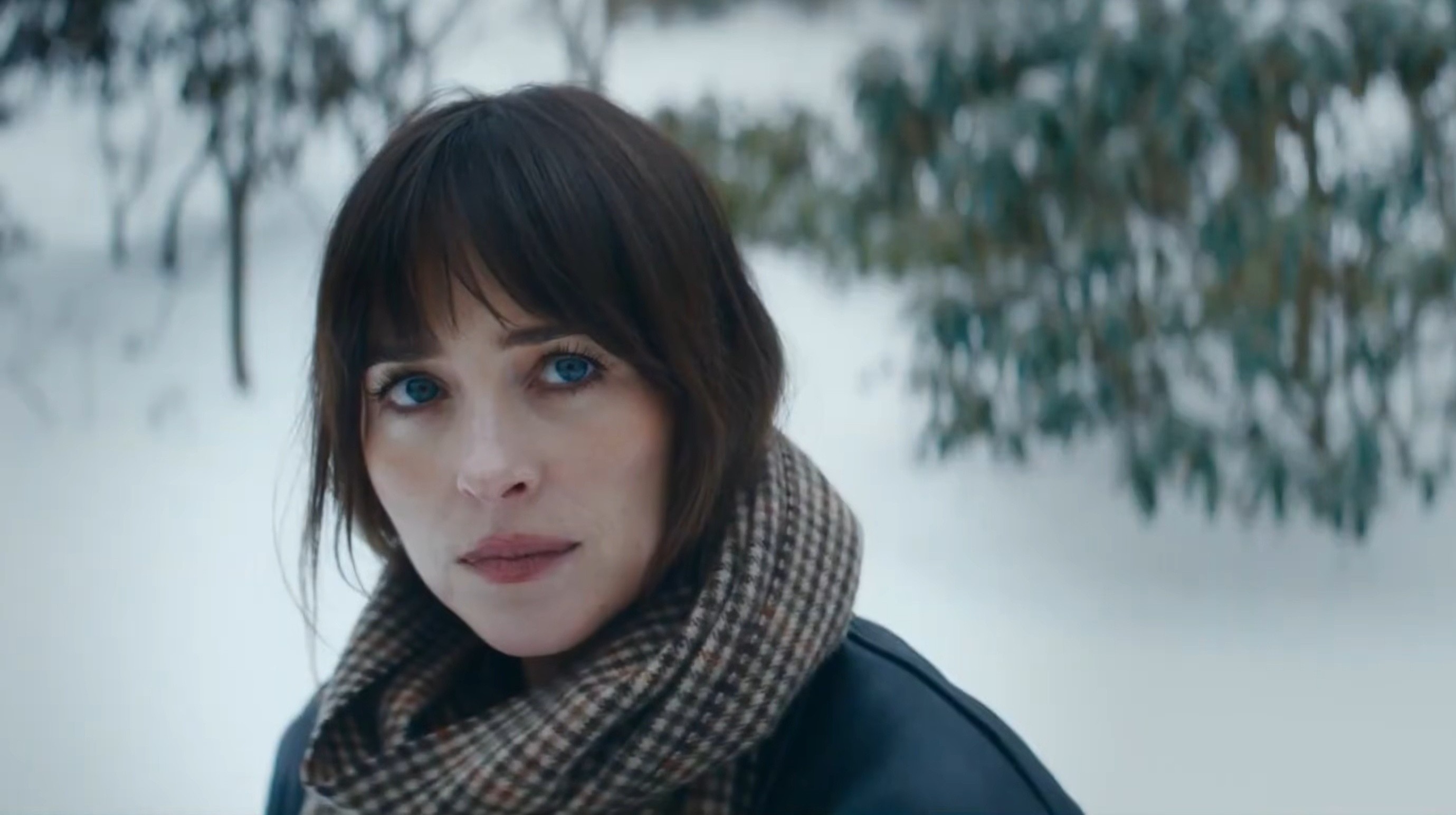 Dakota Johnson ảnh 1