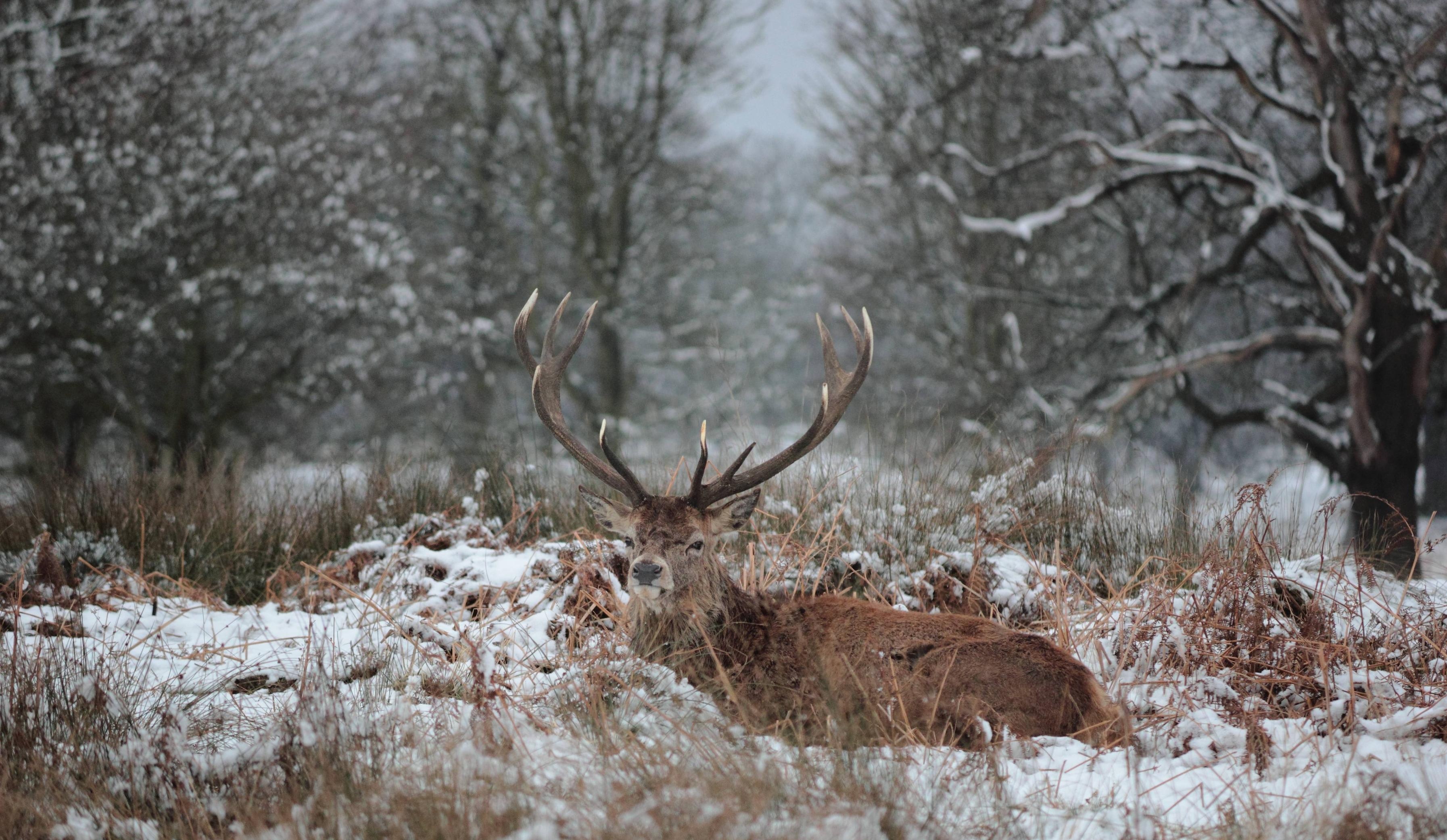 du lich mua dong anh 7