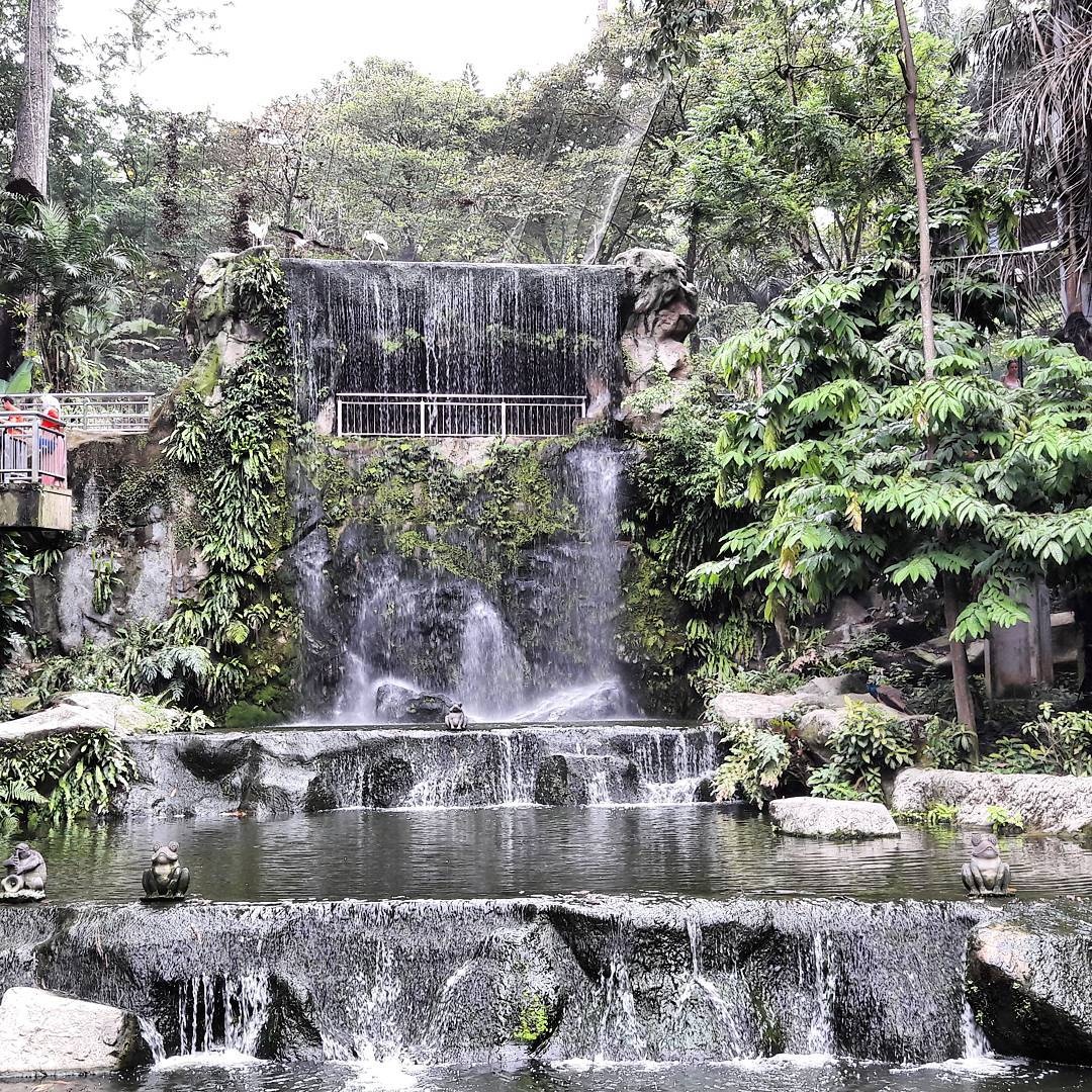 Dia diem cho nguoi yeu dong vat o Singapore anh 13