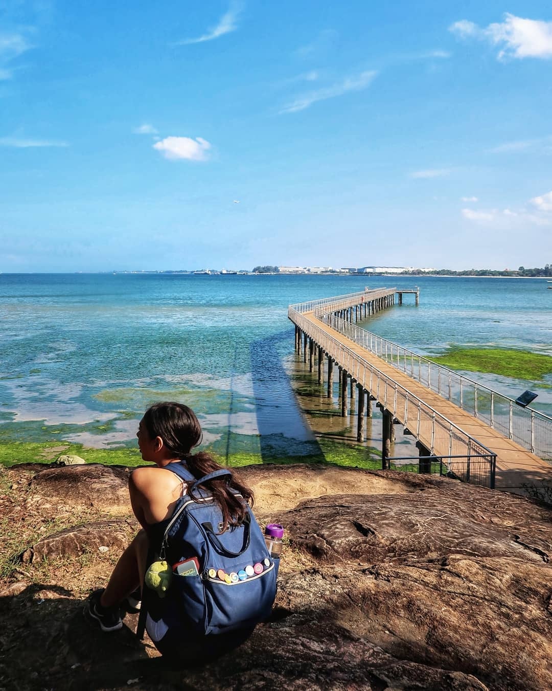 Dia diem cho nguoi yeu dong vat o Singapore anh 3