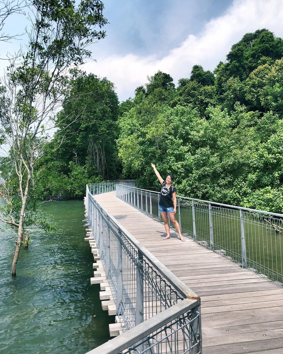 Dia diem cho nguoi yeu dong vat o Singapore anh 4