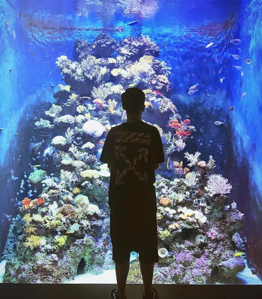 Dia diem cho nguoi yeu dong vat o Singapore anh 8