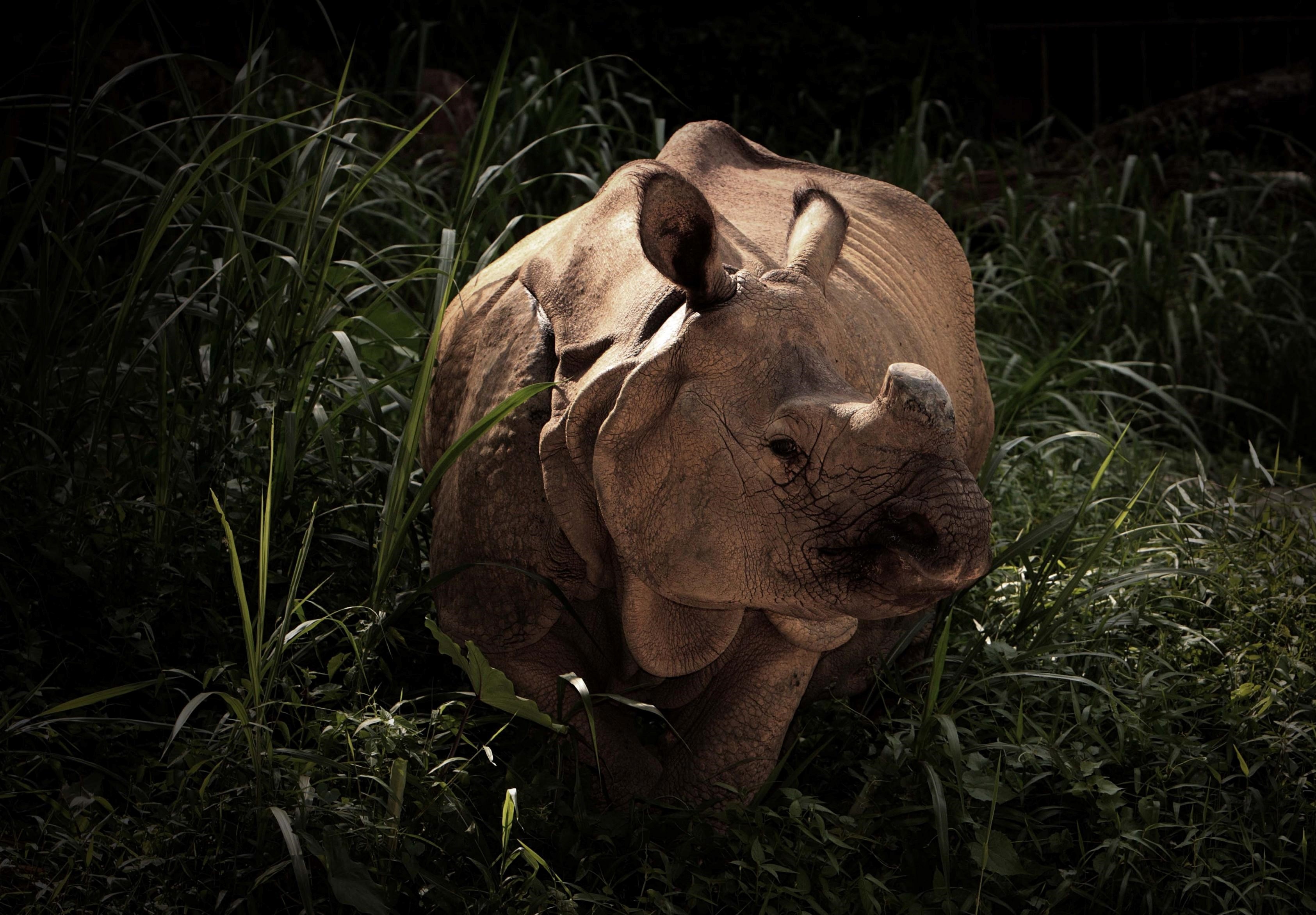 Dia diem cho nguoi yeu dong vat o Singapore anh 14