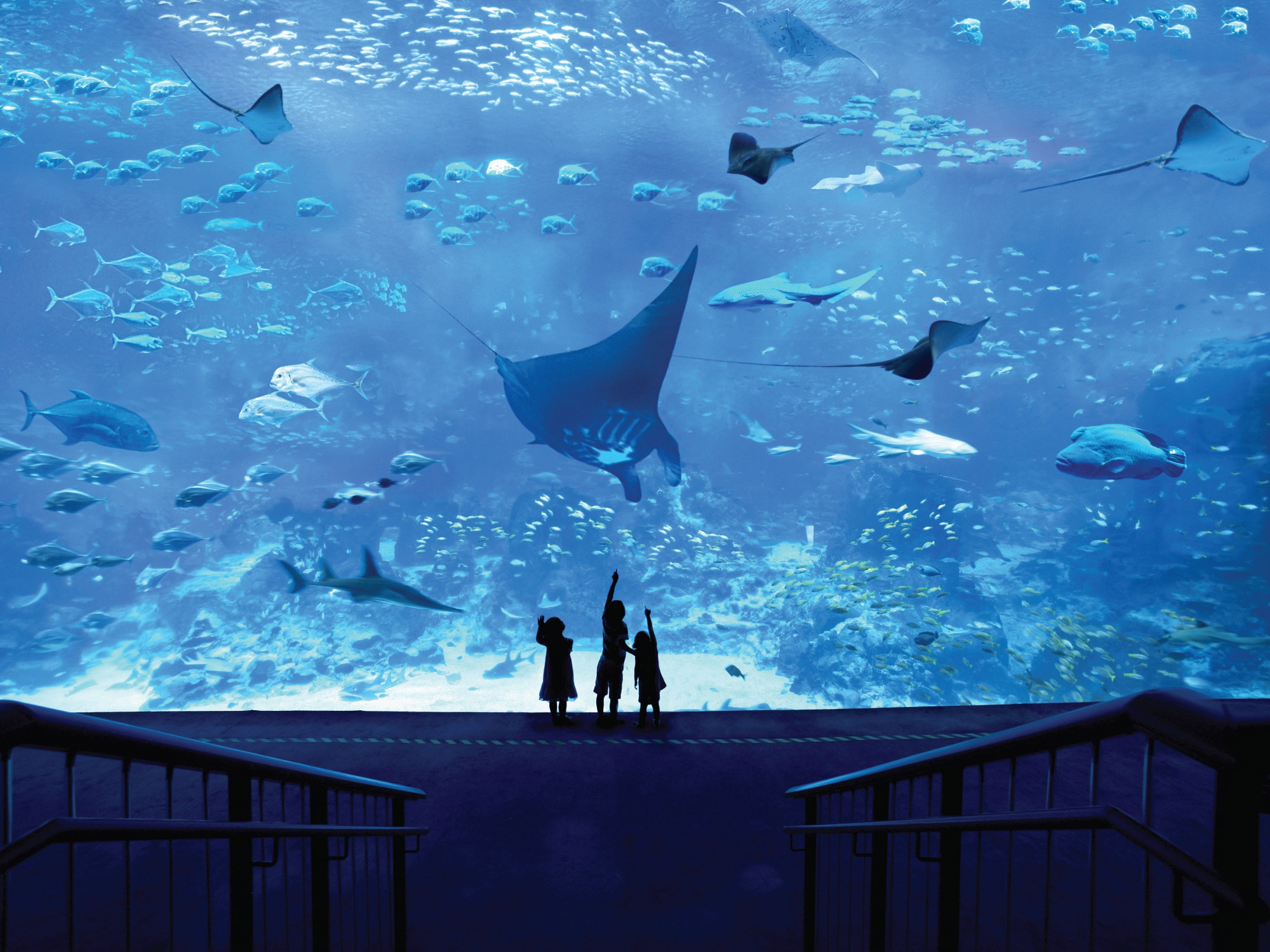 Dia diem cho nguoi yeu dong vat o Singapore anh 7