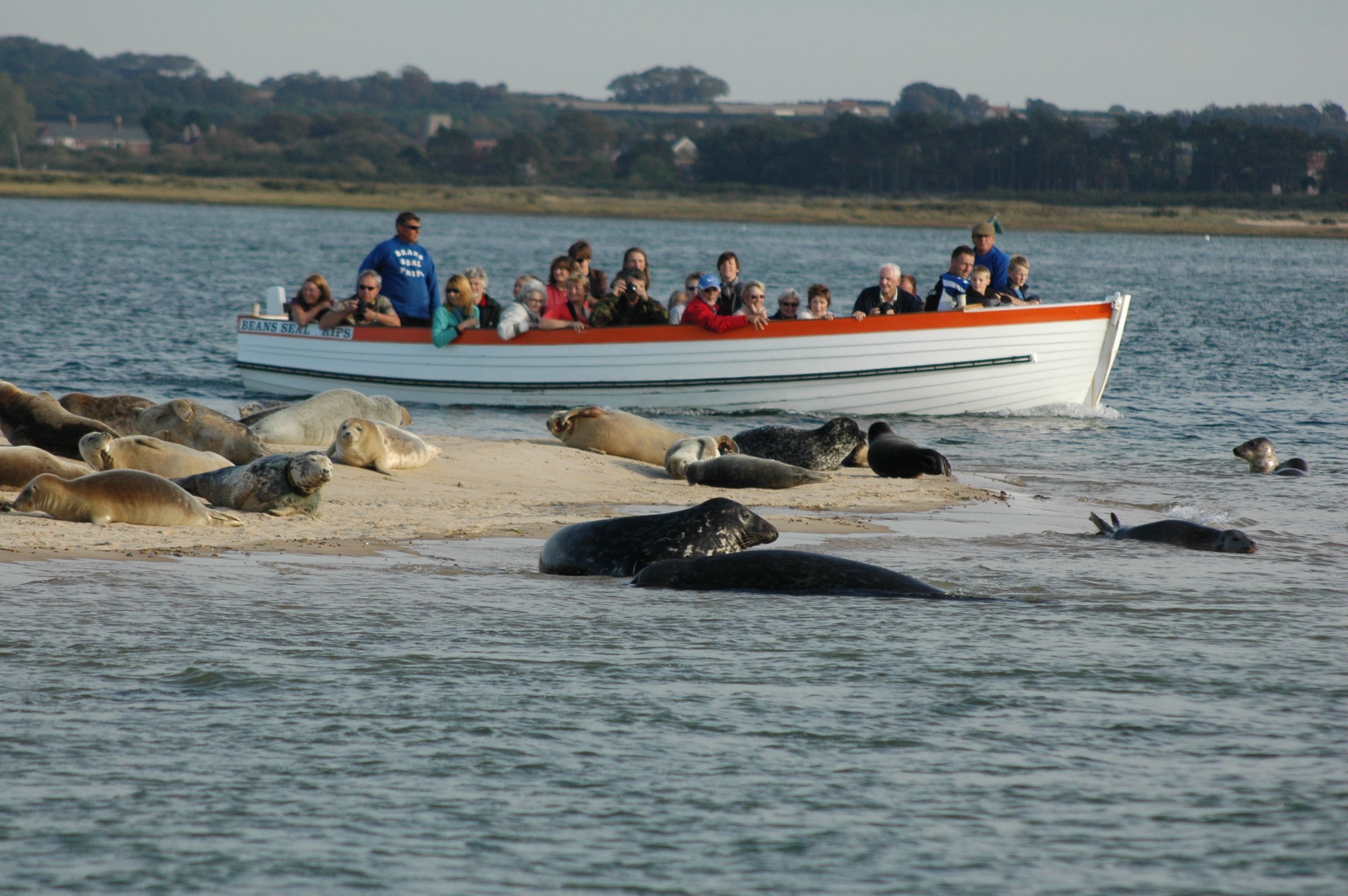 Du lich chau Au mua Giang sinh anh 2