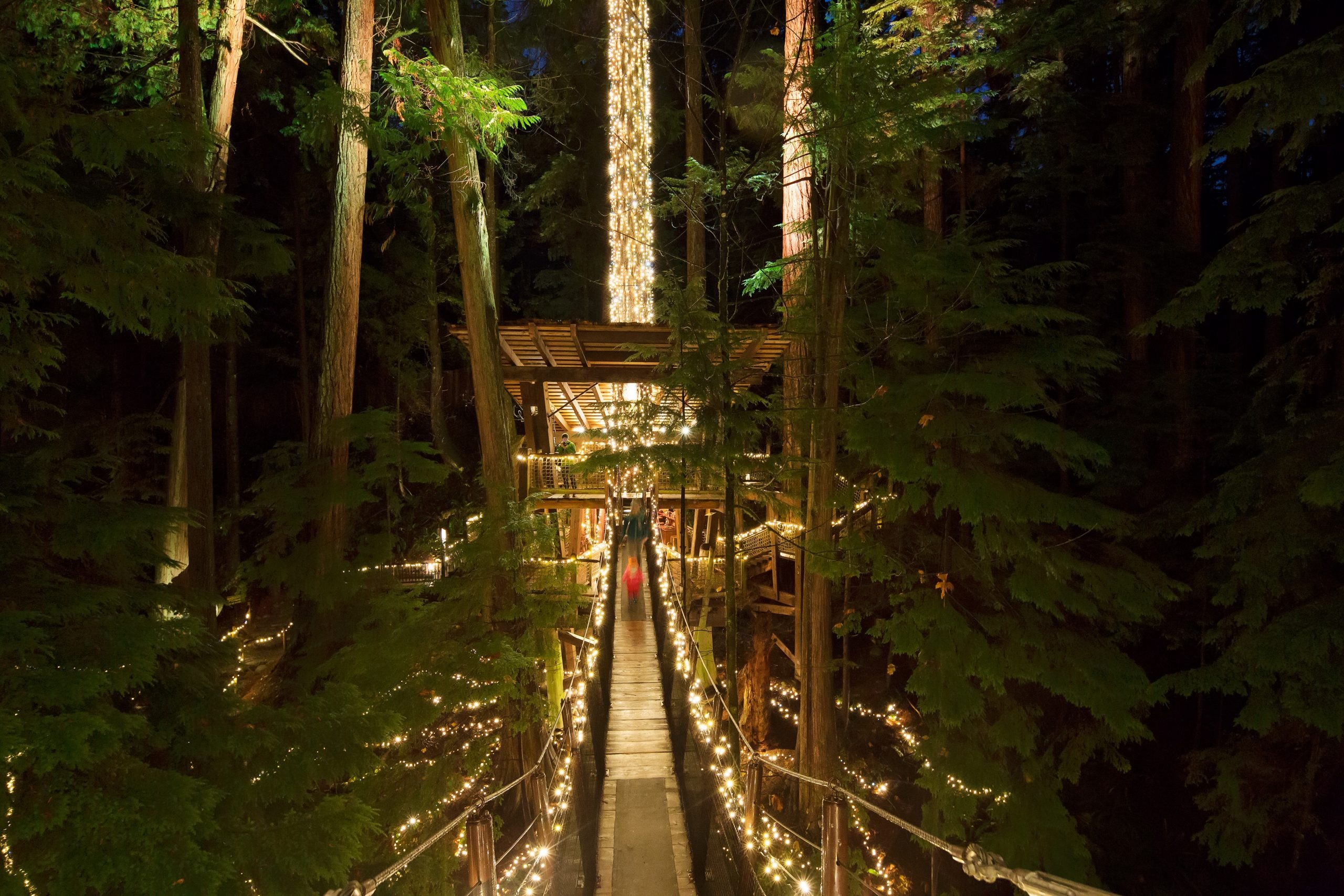 Le hoi anh sang mua Giang sinh anh 2