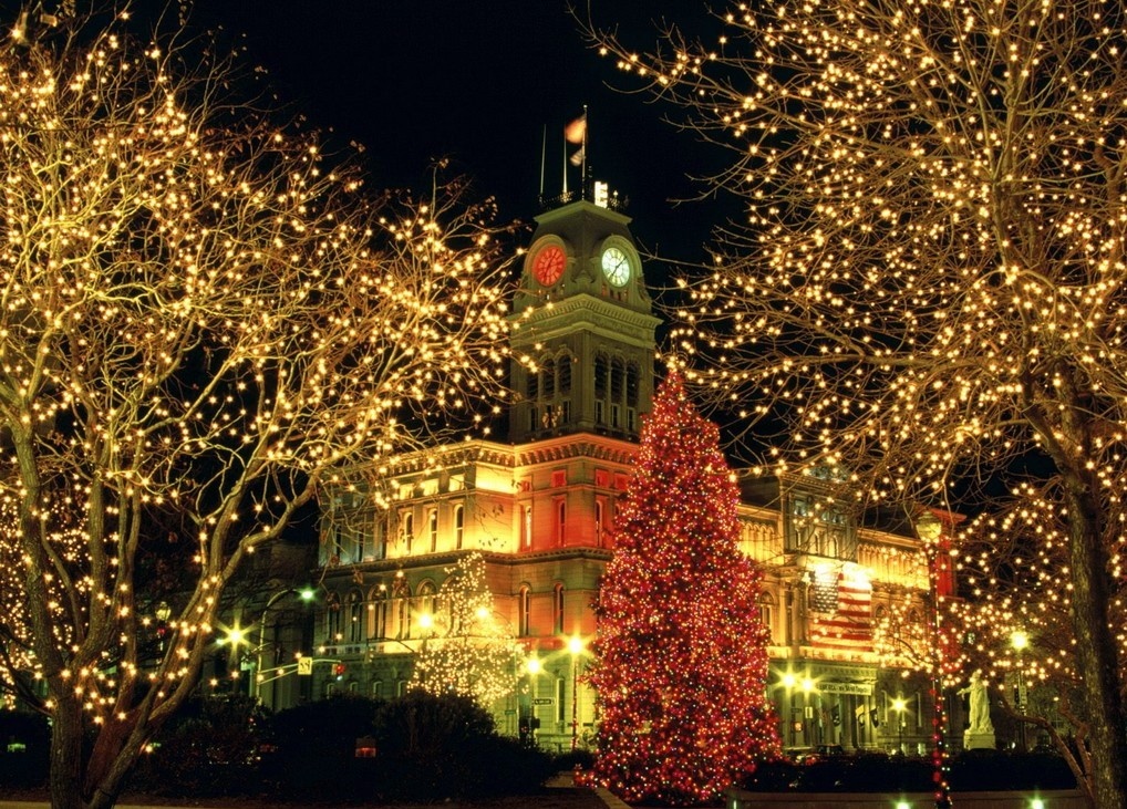 Le hoi anh sang mua Giang sinh anh 8